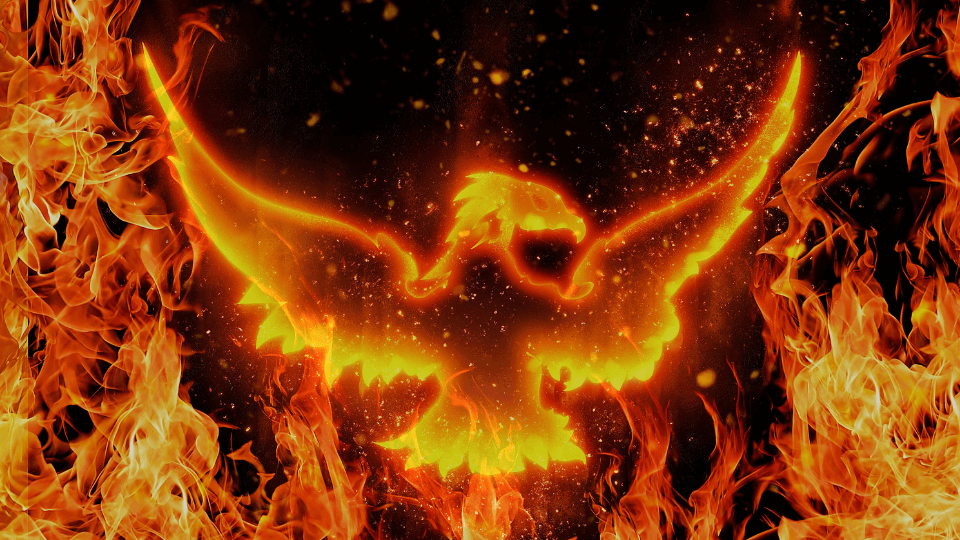 Trauerverarbeitung - Phoenix-aus-der-Asche